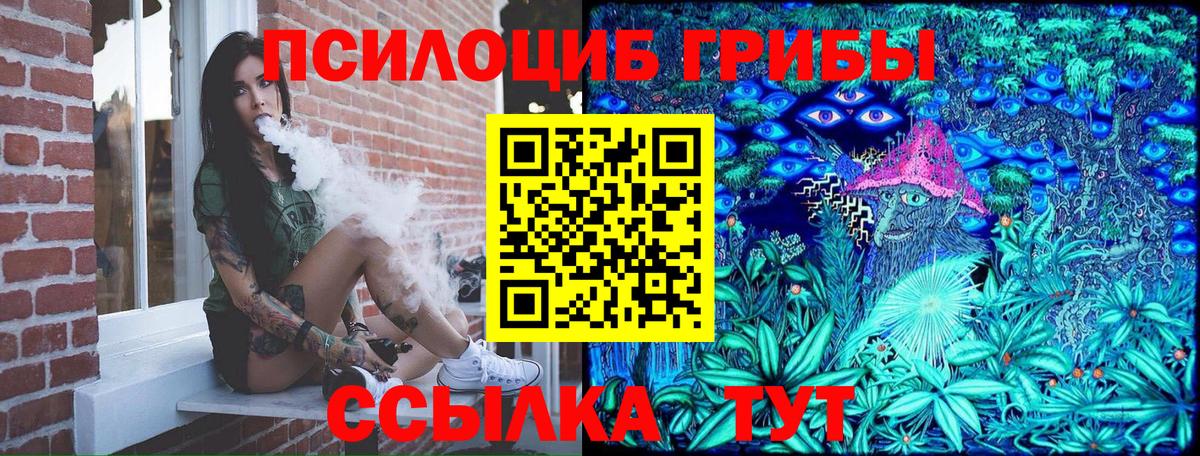 Галлюциногенные грибы Psilocybine cubensis  Псилоцибиновые грибы прущие грибы  Благодарный 