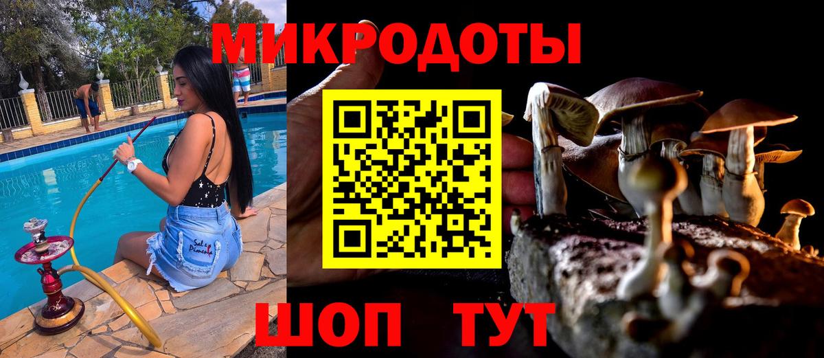 Благодарный  закладка  Вход с VPN  Псилоцибиновые грибы мухоморы 