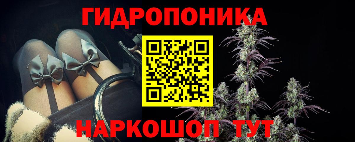 Марихуана Bruce Banner  Канабис тримм  Конопля VHQ  Канабис марихуана  Благодарный 